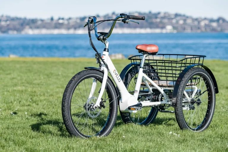 An electric tricycle parked on grass by a lake in Seattle, WA, offering leisure and eco-friendly transportation.